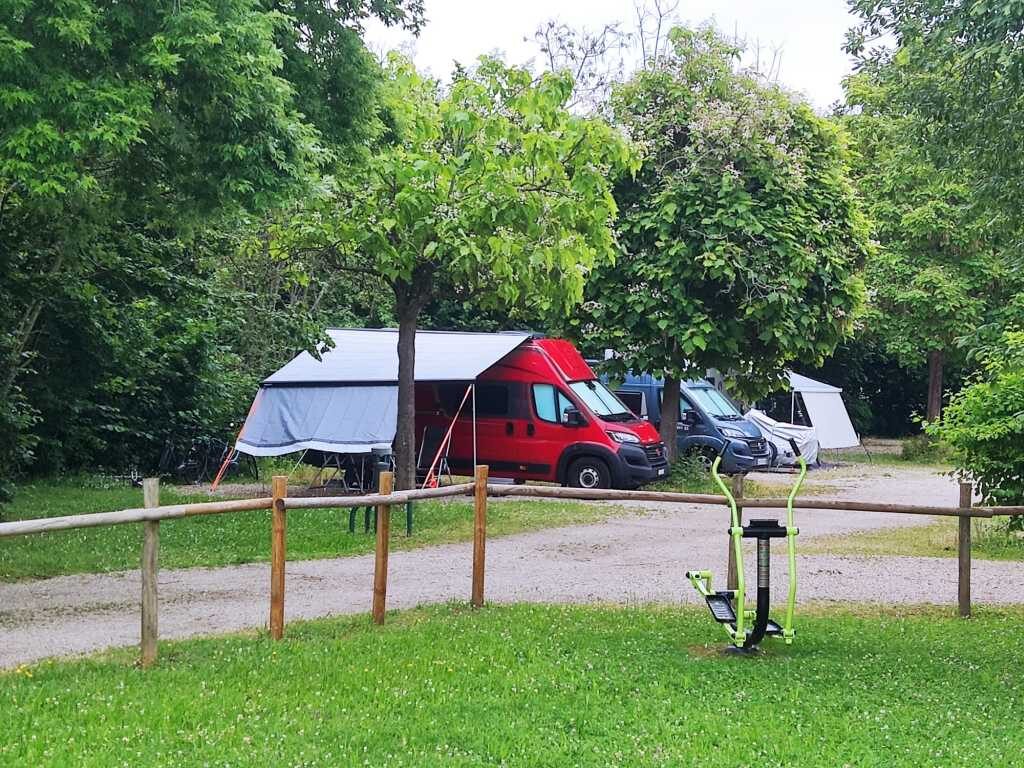 Camper Böxli unter Bäumen auf dem Camping municipal Obernai